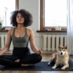 Free stock photo of afro, afro hair, animal