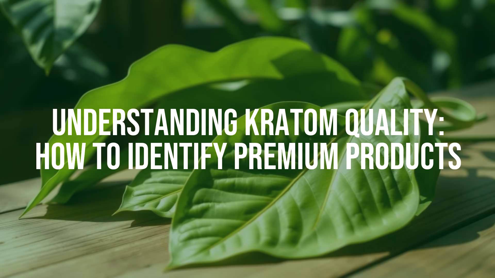 Fresh green kratom leaves on a wooden table, sunlight filtering through, high-quality product, natural and healthy vibe, realistic.