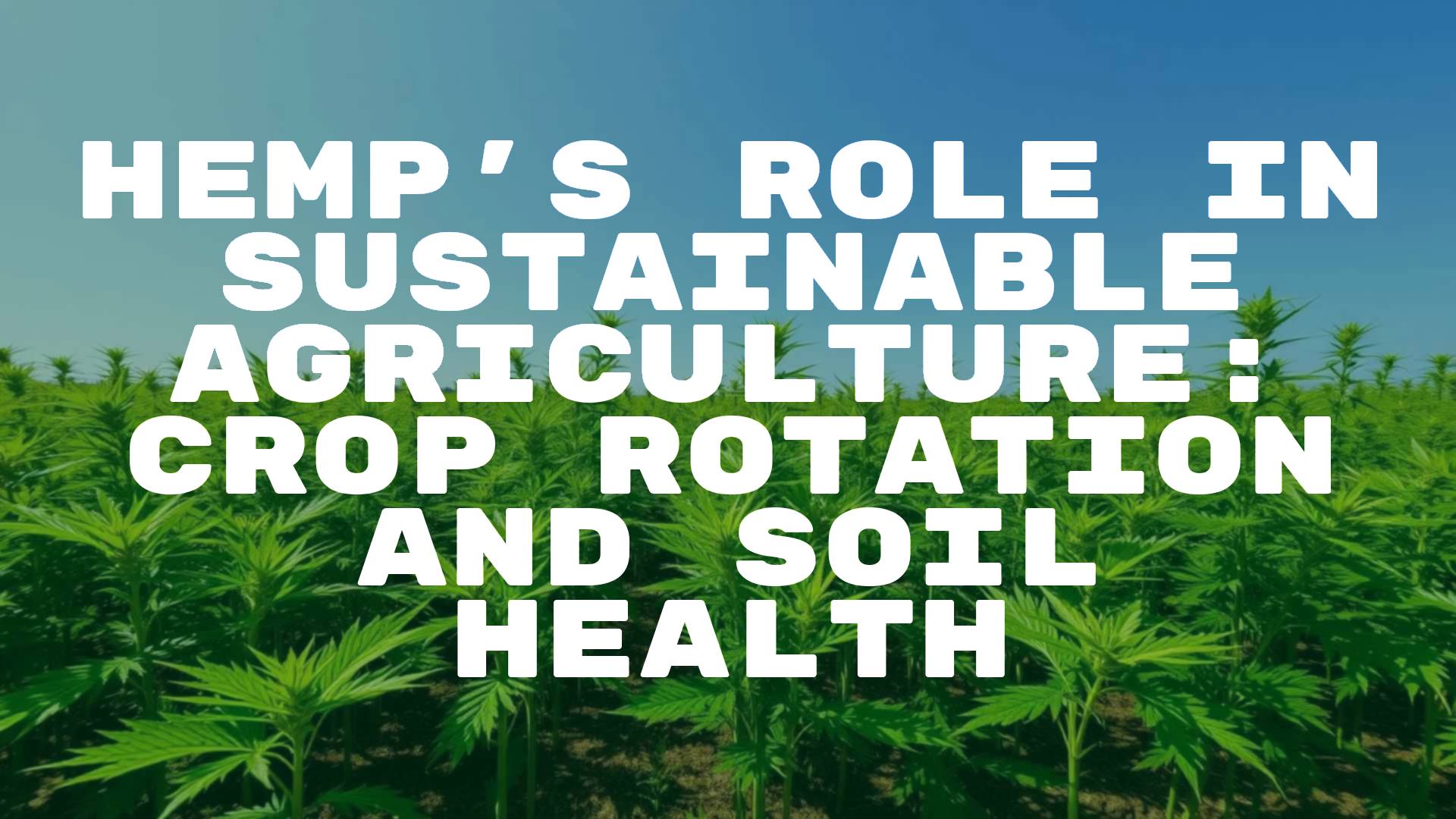 Lush hemp field under blue sky, sustainable farming, healthy soil, green plants, realistic.