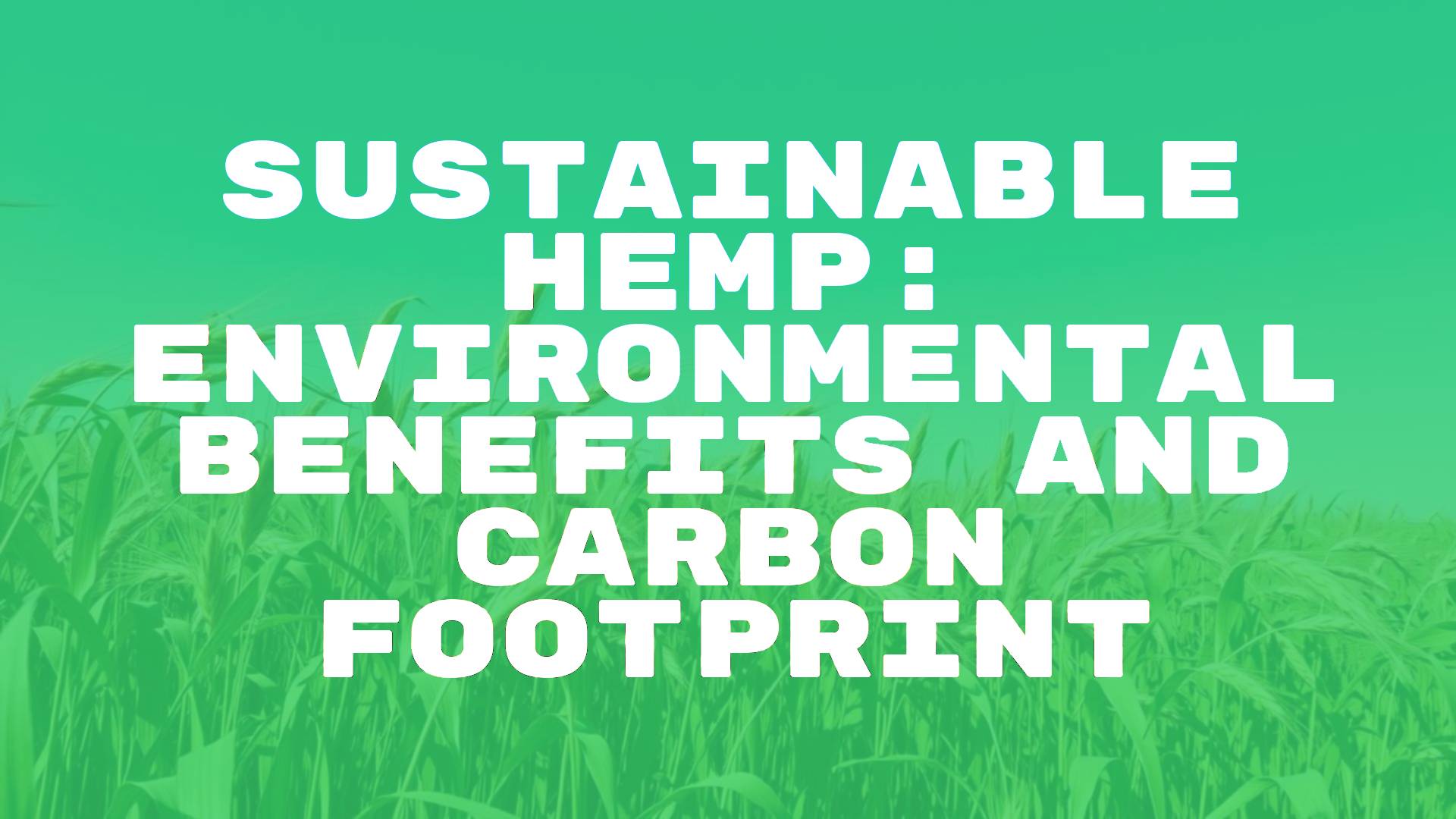 Sustainable hemp field under a clear blue sky, green plants swaying in the wind, eco-friendly farming, realistic.