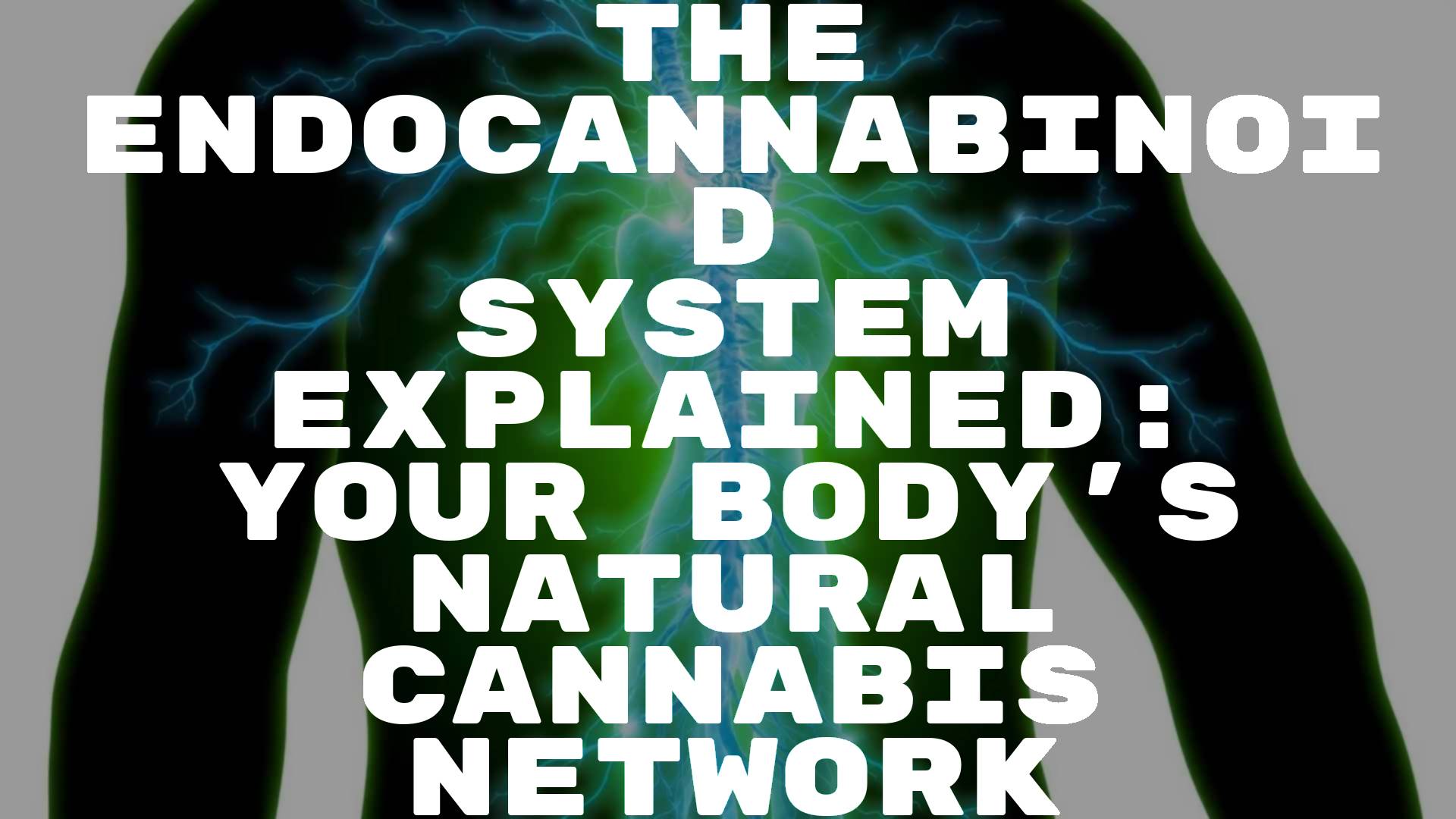 Abstract illustration of the human body with glowing neural network, highlighting the endocannabinoid system, blue and green organic patterns, scientific yet artistic style.