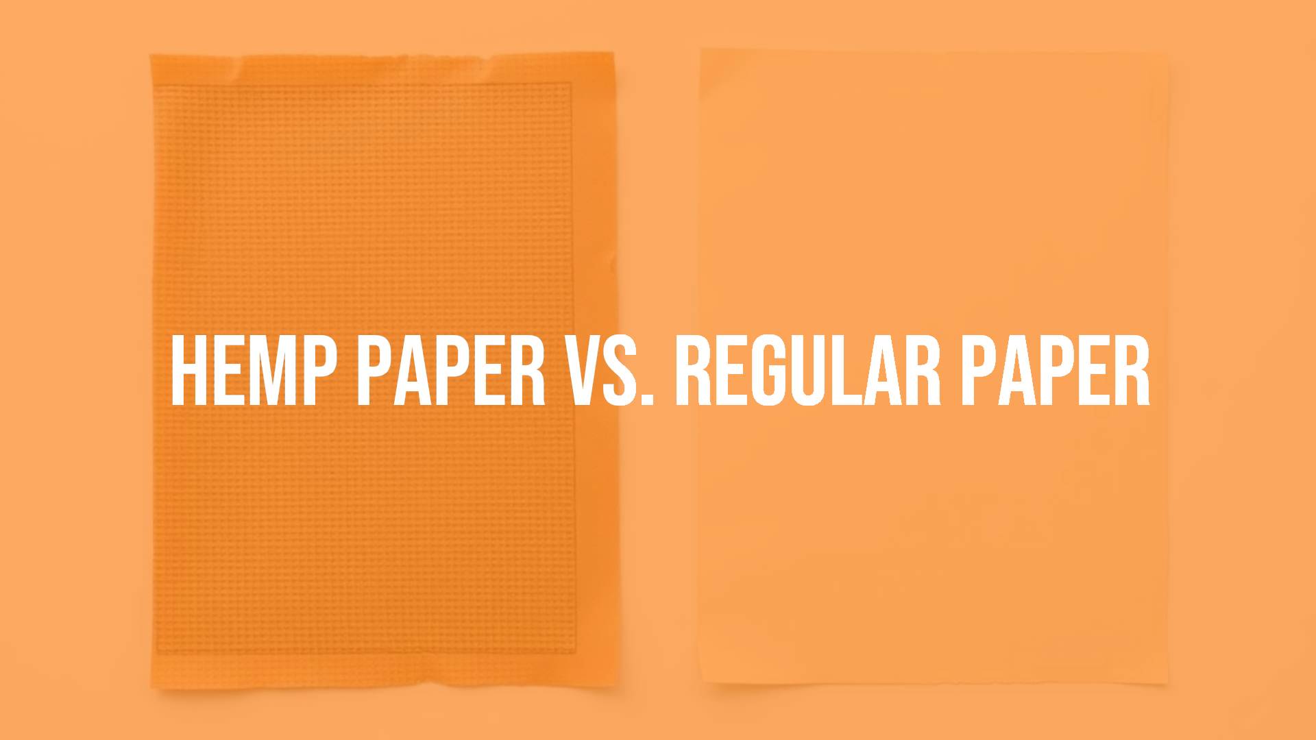 Two paper sheets side by side, hemp paper and regular paper, eco-friendly theme, natural colors, clean background, realistic.