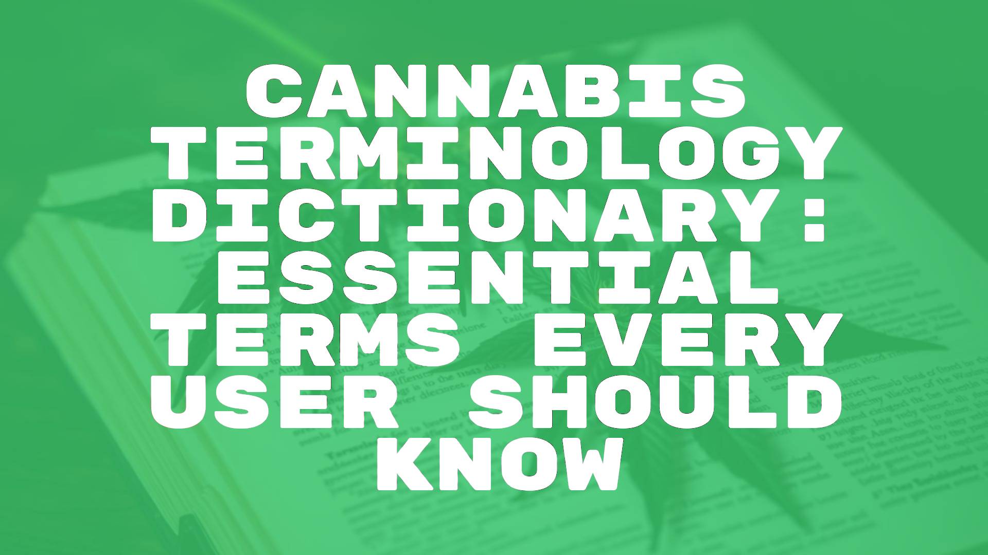 A dictionary book with cannabis leaves and buds on top, green and earthy tones, realistic and educational vibe.
