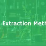 A laboratory setup with glass beakers, plant material, and chemical solvents, scientific DMT extraction process, moody lighting, realistic style.
