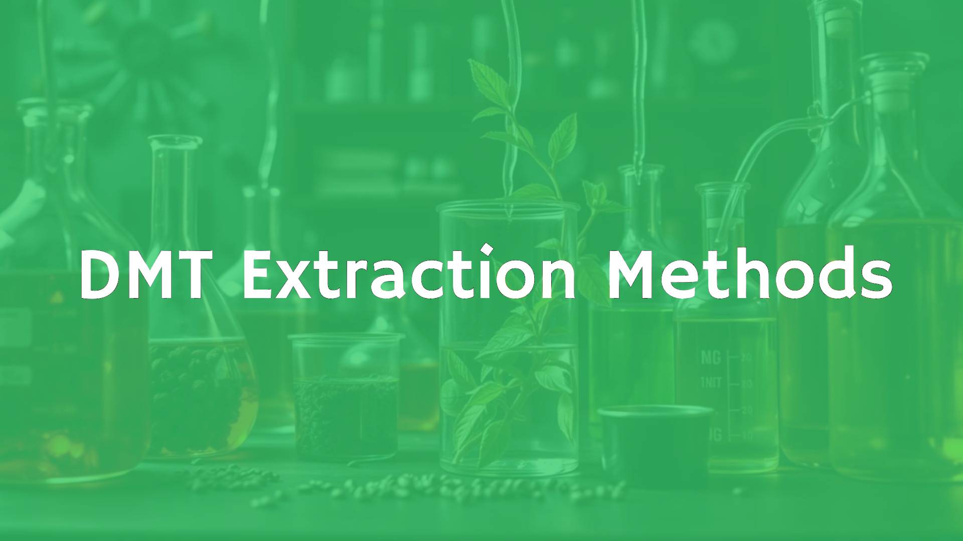A laboratory setup with glass beakers, plant material, and chemical solvents, scientific DMT extraction process, moody lighting, realistic style.