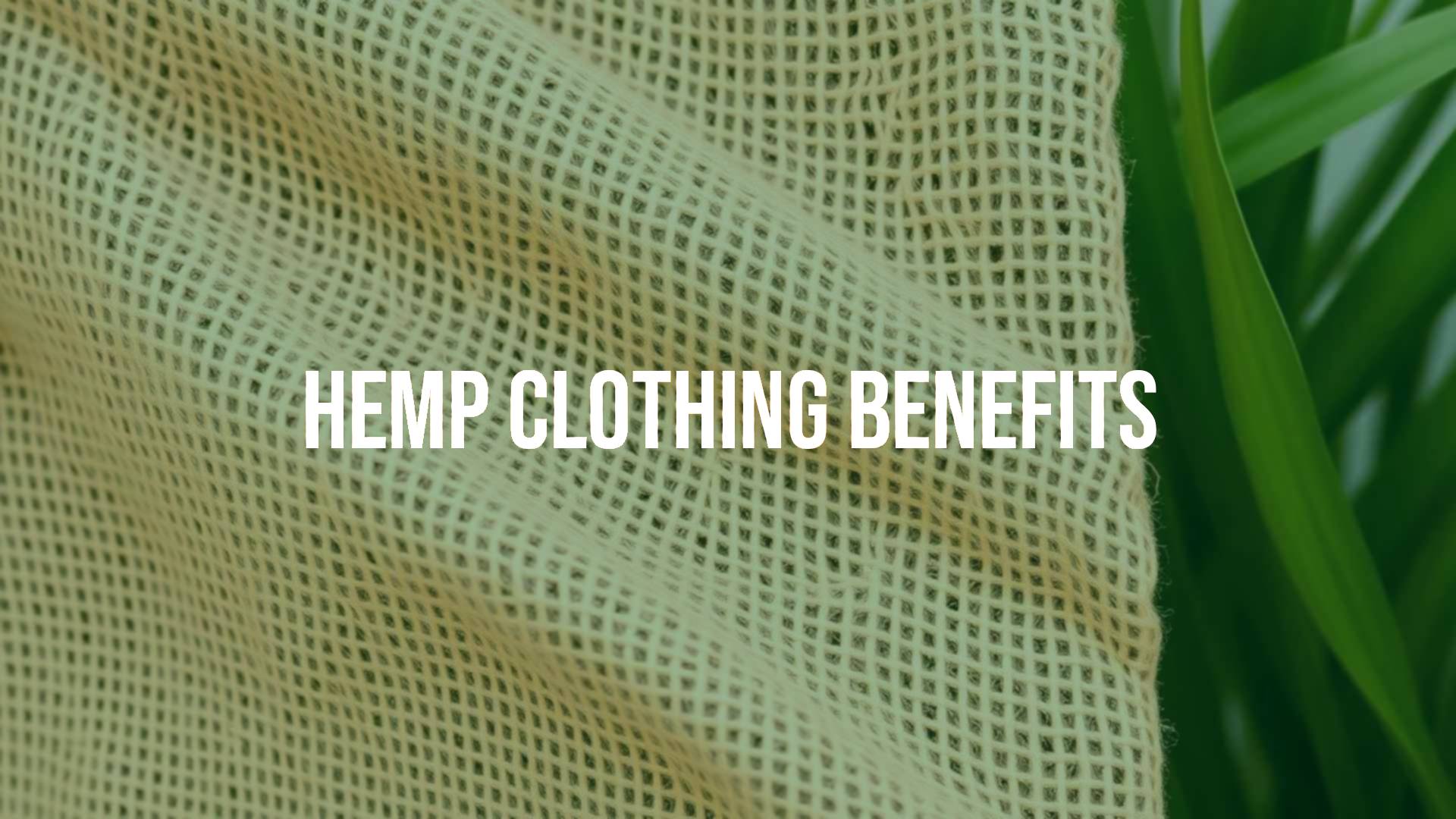A stylish hemp fabric close-up, textured and natural, with green leaves in the background, sustainable fashion vibe, realistic.