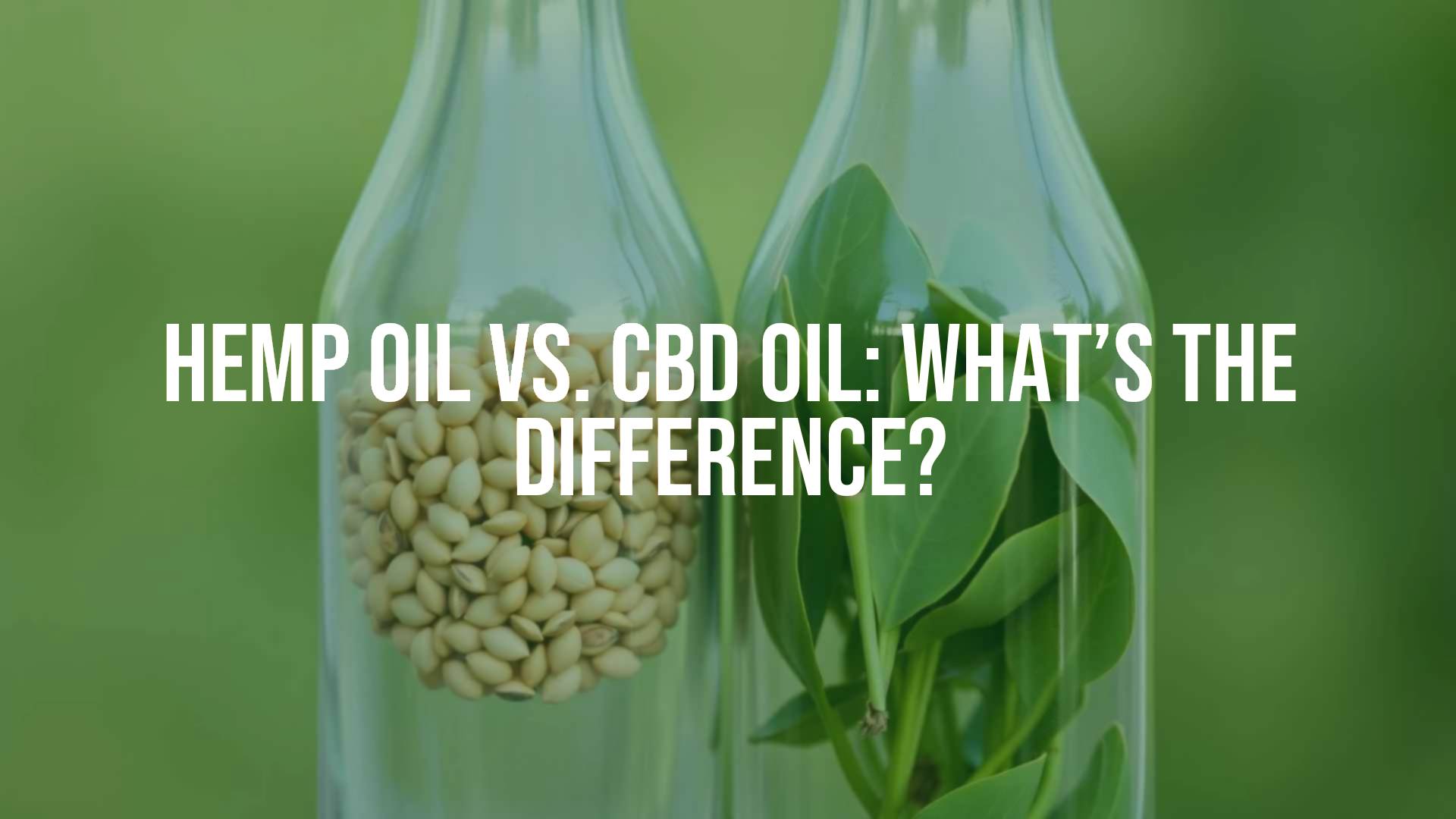 Two glass bottles side by side, one labeled 'Hemp Oil' with seeds visible inside, the other labeled 'CBD Oil' with green hemp leaves, clean and minimalist design, natural background.