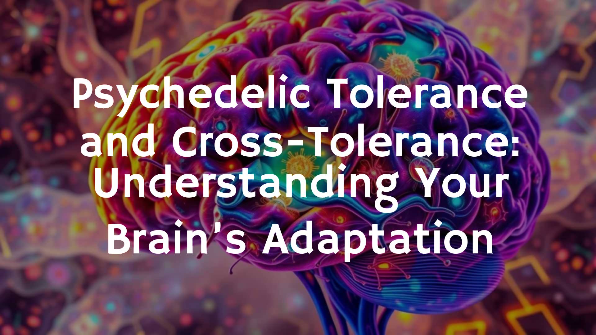 Abstract representation of a brain with psychedelic colors, glowing serotonin receptors, surreal and vibrant.