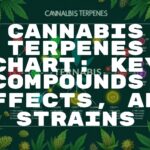 A detailed cannabis terpenes chart with colorful molecular structures, surrounded by various cannabis strains, scientific and educational vibe, illustrative style.