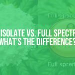 CBD isolate vs full spectrum CBD, side by side comparison, crystalline CBD isolate and rich full spectrum oil, natural hemp background, informative, realistic.